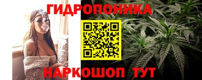твердый Краснознаменск